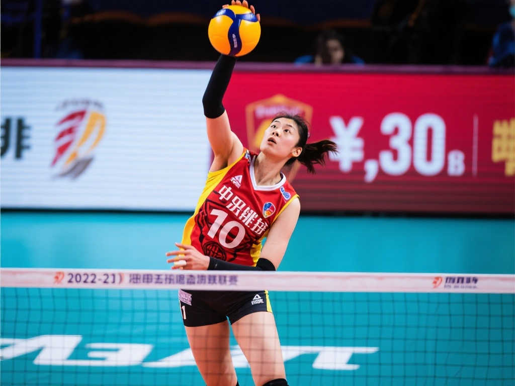 将拉开帷幕 将拉开帷幕